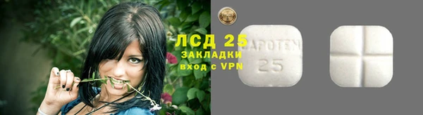 винт Алексин