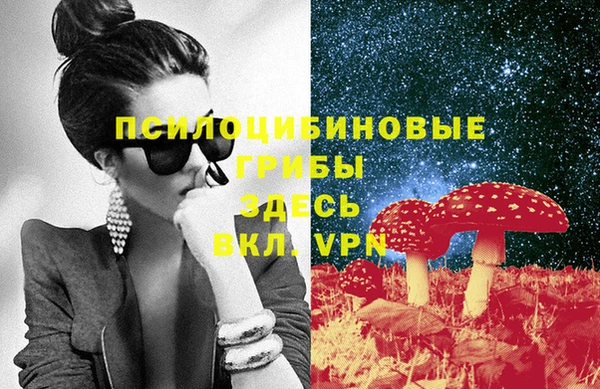 винт Алексин