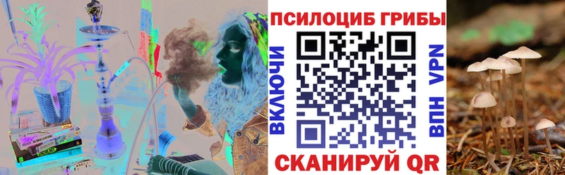 Галлюциногенные грибы Psilocybe  Южно-Сахалинск 